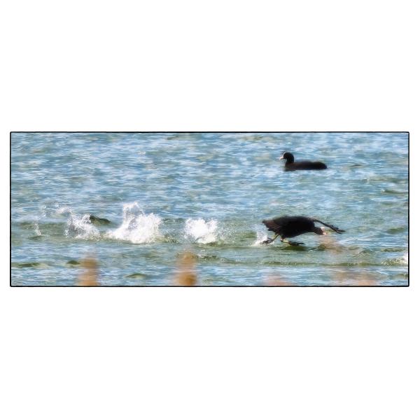 PHOTO84, CLUB, 84 , LUBERON